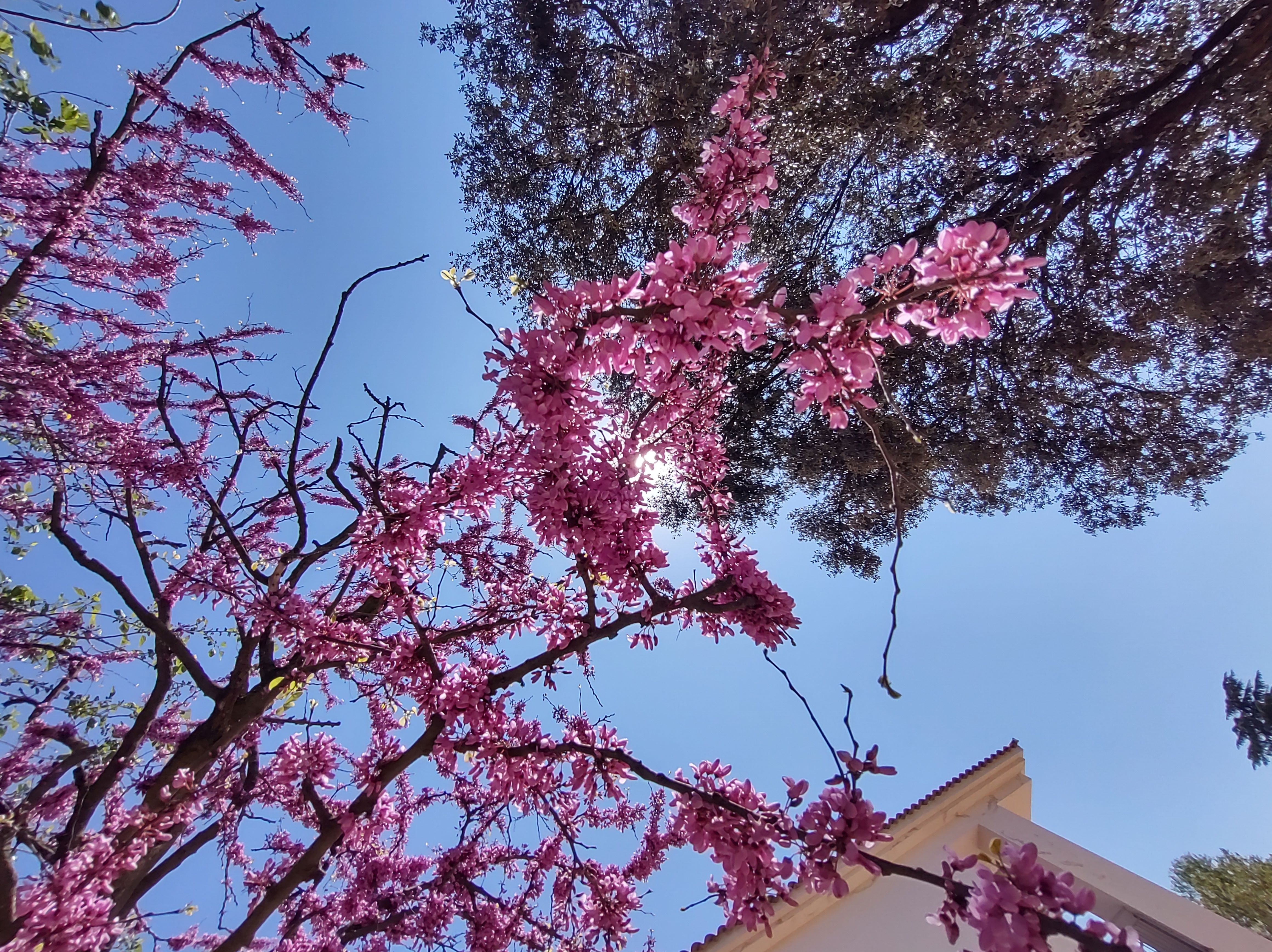 No s'ha trobat l'arxiu